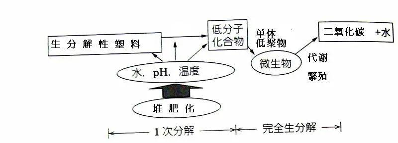 可生物降解環(huán)保塑料可以回收再利用嗎?(圖3)